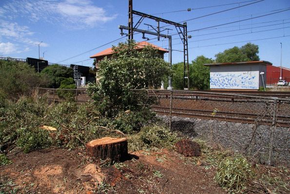 Trees chopped down on the east side of the railway at Sunshine for Melbourne Airport Rail service relocation works