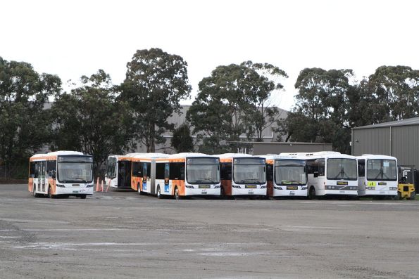 Ventura buses #1285 BS02LZ and #1591 BS09HT with articulated buses #1380 BS04XZ, #1426 BS05MT and coaches #191 4761AO and #544 4544AO at the Pakenham depot